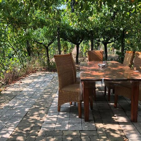Szendergo - Apartman Hajos Pincefalu Exteriör bild